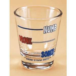  Numb Drunk Sober Shot Glass: Everything Else