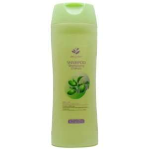   : Olive Oil Shampoo for Soft Shiny Hair Case Pack 96   535507: Beauty