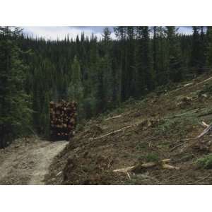 Log Truck Hauls Wood from a Clearcut in the Salmon National Forest 