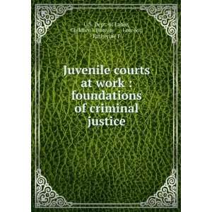  Juvenile courts at work  foundations of criminal justice 