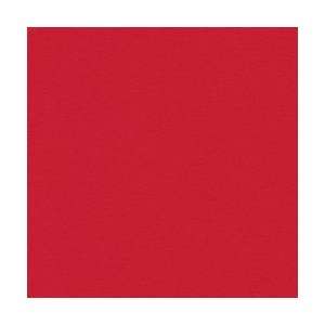   : Curious Skin Red 8 1/2x14 100lb/270g Cover 100/pkg: Office Products