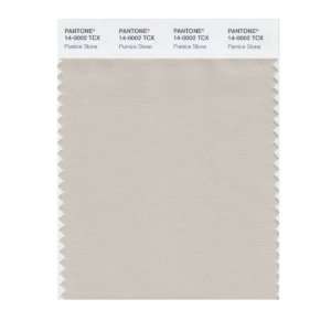   SMART 14 0002X Color Swatch Card, Pumice Stone: Home Improvement