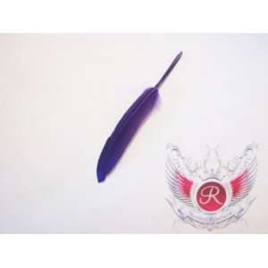  Indie Rock Hair Extension Feather (Purple): Beauty