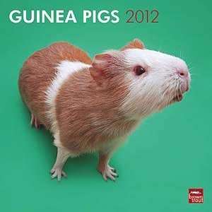  2012 Guinea Pigs Calendar