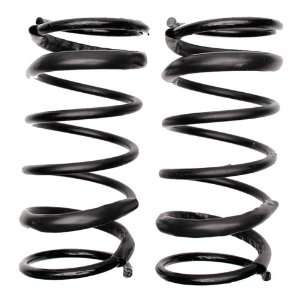  Raybestos 591 1128 Professional Grade Coil Spring Set 