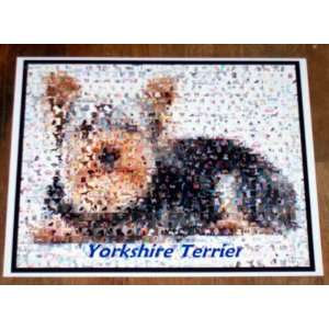  Yorkshire Terrier Dog Montage: Everything Else
