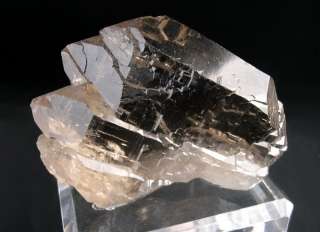   Smokey Quartz   Gletchhorn, Goscheneralp, Uri, Switzerland  