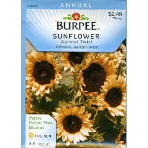  Burpee 41031 Sunflower Apricot Twist Seed Packet Patio 