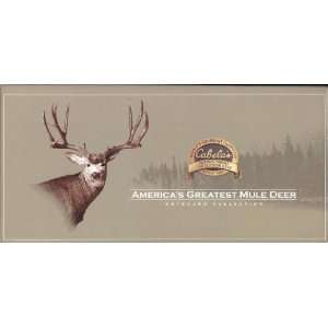  Americas Greatest Mule Deer Notecard Collection: Office 