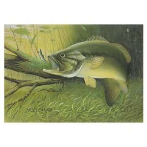 Largemouth bass, Fine Art Giclee Print by Holloway, 24x18