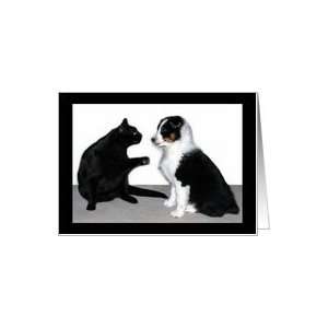  Aussie and Cat Fight Blank Note Card Card Health 