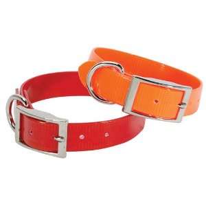  Sunglo Regular Collar 1 inch Wide: Orange: 23 inch: Pet 