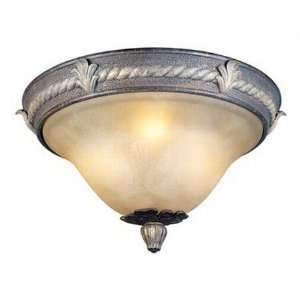     Ceiling Light   Chelsea Collection   8420 24: Home Improvement
