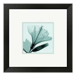  Hibiscus and Bud Framed Wall Art