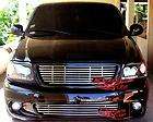   Ford F 150 Bumper Stainless Steel Tubular Grille (Fits: Ford Lightning