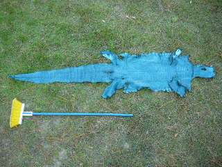 Gator ALLIGATOR belly taxidermy rug skin mount TEAL WOW  