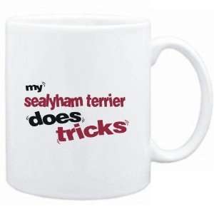   Mug White  MY Sealyham Terrier DOES TRICKS  Dogs: Sports & Outdoors