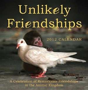   2012 Unlikely Friendships Wall Calendar by Jennifer 