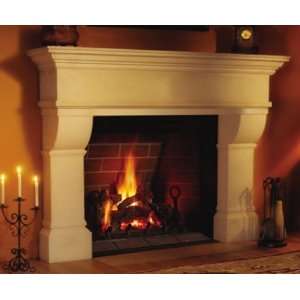 Napolean Fireplaces GD80PT 1M Madison 49 in. Zero 