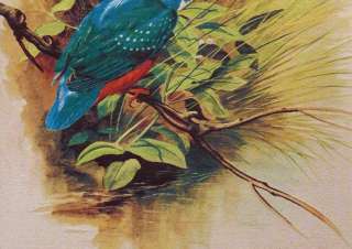 20x16 STRETCHED NEEDLEPOINT PAINTING KING FISHER  