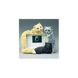  Multicolor Persian Cats Frame: Home & Kitchen