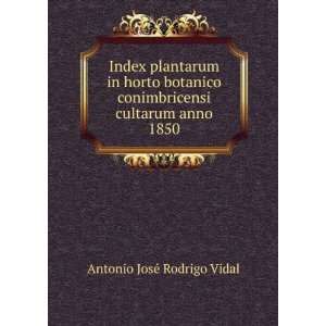   conimbricensi cultarum anno 1850 Antonio JosÃ© Rodrigo Vidal Books