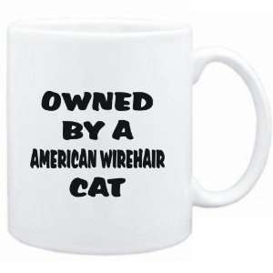   : Mug White  OWNED by s American Wirehair  Cats: Sports & Outdoors