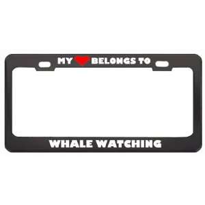 My Heart Belongs To Whale Watching Hobby Sport Metal License Plate 