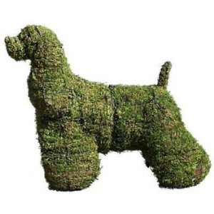  Cocker Spaniel Mossed Topiary Frame