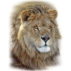  T shirts Animals Wildlife Lion Portrait 3xl: Everything 