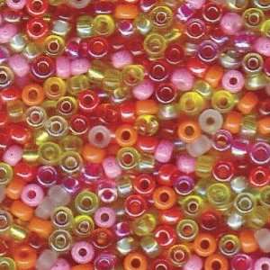    Tango Mix Size 11 Miyuki Seed Beads Tube: Arts, Crafts & Sewing