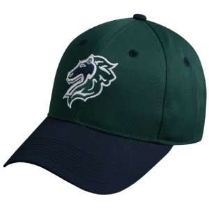MiLB Minor League YOUTH CHARLOTTE KNIGHTS Dark Green/Navy Blue Hat Cap 