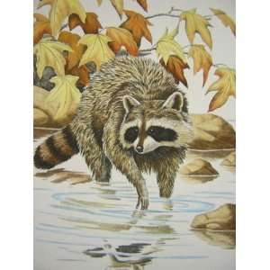  Dave Chapple   Indian Summer   Raccoon