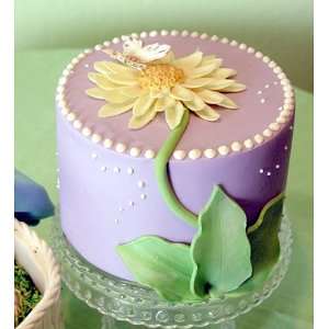Elegant Cheese Cakes Daisy Delight  Grocery & Gourmet Food