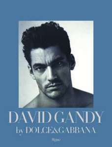 and G David Gandy by Peter Howarth Hardback, 2011 9780847837526 