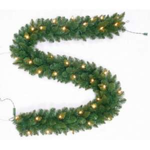   Pine LED Lighted Garland, Battery operated   Clear 