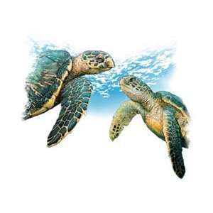  T shirts Aquatic Sea Life Turtle Encounter 4xl 