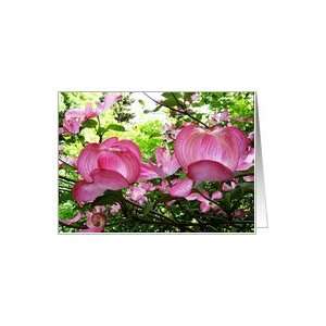 Blank Note Cards   Pink Dogwood Tree Card