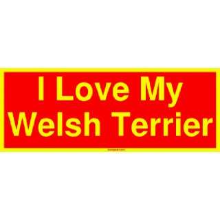  I Love My Welsh Terrier Large Bumper Sticker: Automotive