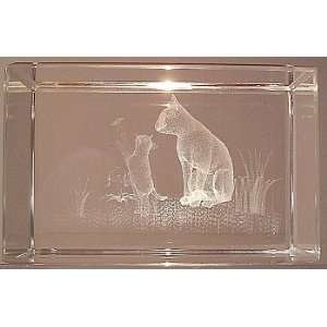   Playful Kitten Laser Etched Crystal and Lighted Base