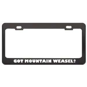 Got Mountain Weasel? Animals Pets Black Metal License Plate Frame 