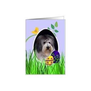  Easter Card featuring a Polish Lowland Sheepdog Card 