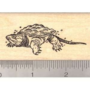  Baby Snapping Turtle Rubber Stamp Arts, Crafts & Sewing
