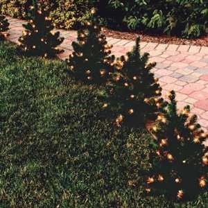  Pre Lit Walkway Trees   Clear Lights (2 ft tall): Home 