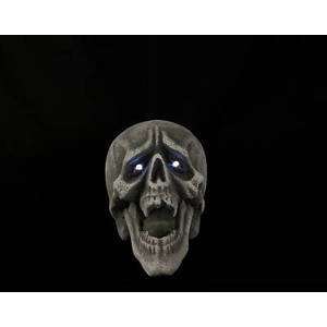  Lexor Light Up Skull Halloween Decoration Prop: Home 