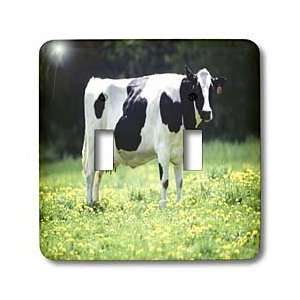  Florene Country Life   Black n White Cow On Grass   Light 