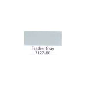   PAINT COLOR SAMPLE Feather Gray 2127 60 SIZE:2 OZ.: Home Improvement