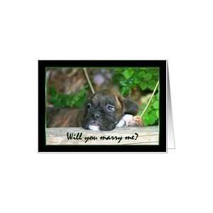  Will you marry me Brindle boxer puppy Card Health 