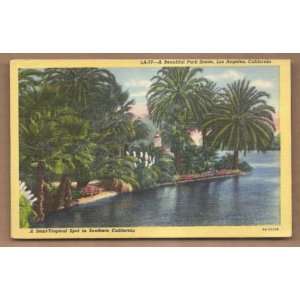  Postcard Vintage Beautiful Park Scene Los Angeles 