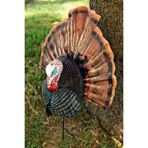 Flextone Thunder Chicken Turkey Decoy: Sports & Outdoors